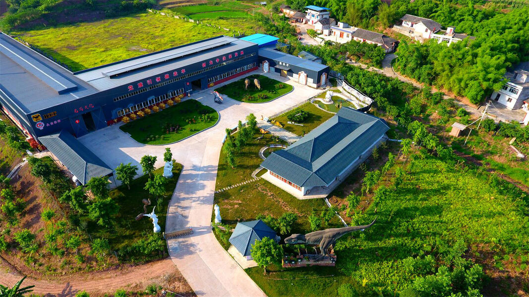 Zigong Longshang Culture and Art Co., Ltd.