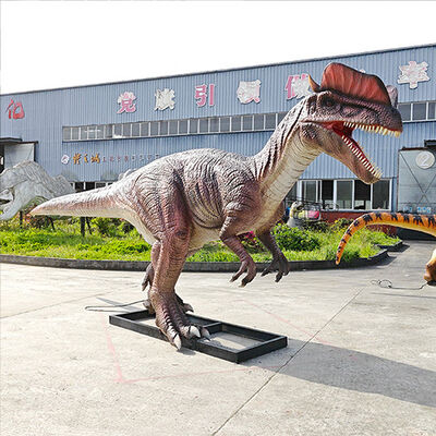 شراء حديقة الديناصورات الجذب بالحجم الطبيعي البصق Dilophosaurus Animatronic online manufacture