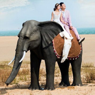 Buy Infrared Sensor Control Mode artificial animal realistic simulation online manufacture