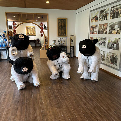 buy Adult Cosplay Cartoon Design Rubber Animal Costume Suit Animal Prop Mascot online manufacture