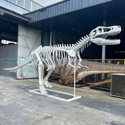 comprare Jurassic Park Display Modello di scheletro T Rex in fibra di vetro realistico / Modello di ossa di dinosauro online manufacture
