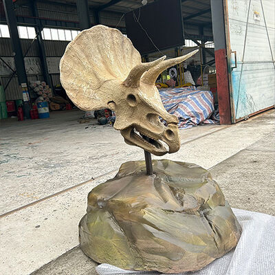 ซื้อ ชุดรุ่นกระดูกไดโนเสาร์ สายใยแก้วมือทํา Triceratops Skull Replica online manufacture
