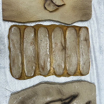 comprare Esposizione educativa del centro scientifico: repliche di fossili di uova di dinosauro reali e ossa online manufacture