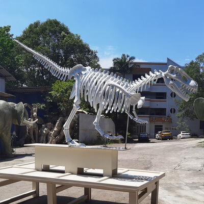 Beli Tampilan Pendidikan Pusat Sains Model Kerangka Dinosaurus Fiberglass Garansi 2 Tahun online manufacture