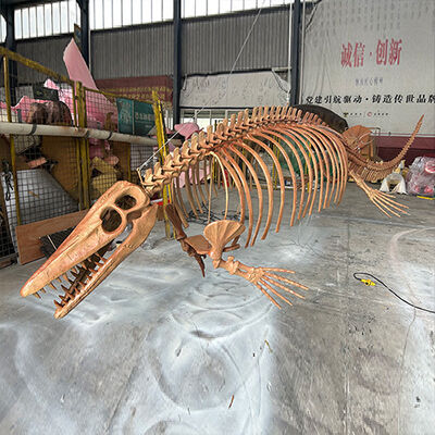 comprar Museu Qualidade Esqueleto de Dinossauro Kit de Modelos de Resina de Fibra de Vidro Fósseis Simulação online manufacture