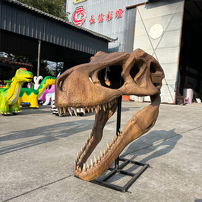 購入 サイエンスセンター リアルサイズ 恐竜の頭蓋骨 レプリカ 骨格 化石 online manufacture