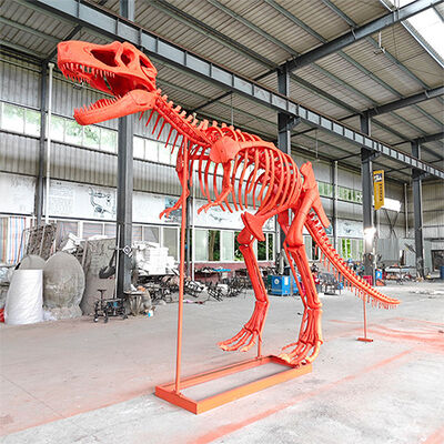 kopen Glasvezelsculptuur Levensgrootte Dinosaurusskelet Model Hars ambachten online manufacture