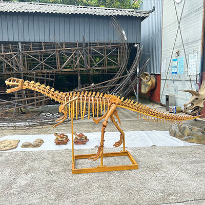 Beli Pameran Museum Patung Replika Model Kerangka Dinosaurus Simulasi Tinggi online manufacture
