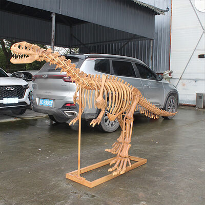 comprar Simulação de tamanho real Esqueleto Fósseis de Dinossauro Para Exposição de Museu online manufacture