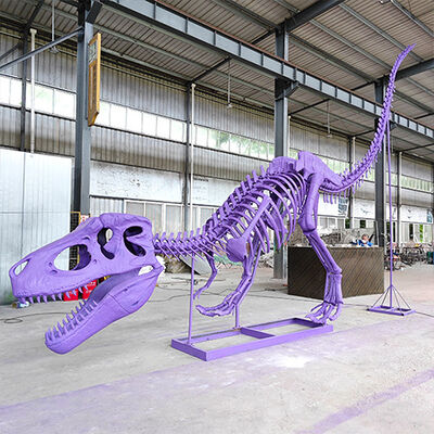 comprare Mostra museale Educazione Scheletro di dinosauro Replica T Rex Scheletro fossile online manufacture