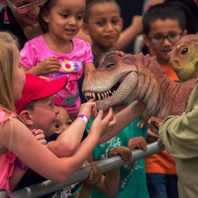 kopen Kinderen Aantrekkelijk kerstcadeau Realistisch Volledig Lichaam T Rex Poppet Simulatie Model online manufacture