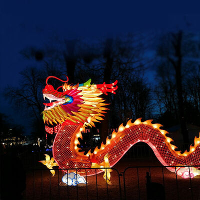 comprare Lanterne per il Capodanno cinese all' esterno Lanterne per il Festival Lanterne a led Lanterna del drago online manufacture