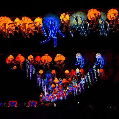 buy Theme Park Illuminate Light Show Holiday Silk Festival Lantern Exhibition online manufacture